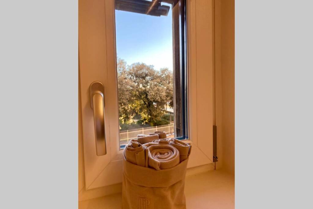 Apartment Wine And Horse - Next To Station And Free Parking Verona